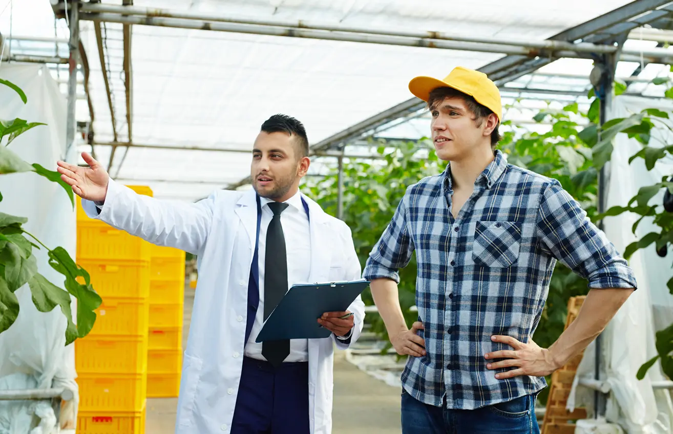 Agricultural Scientist Consulting with a Farmer in a Greenhouse